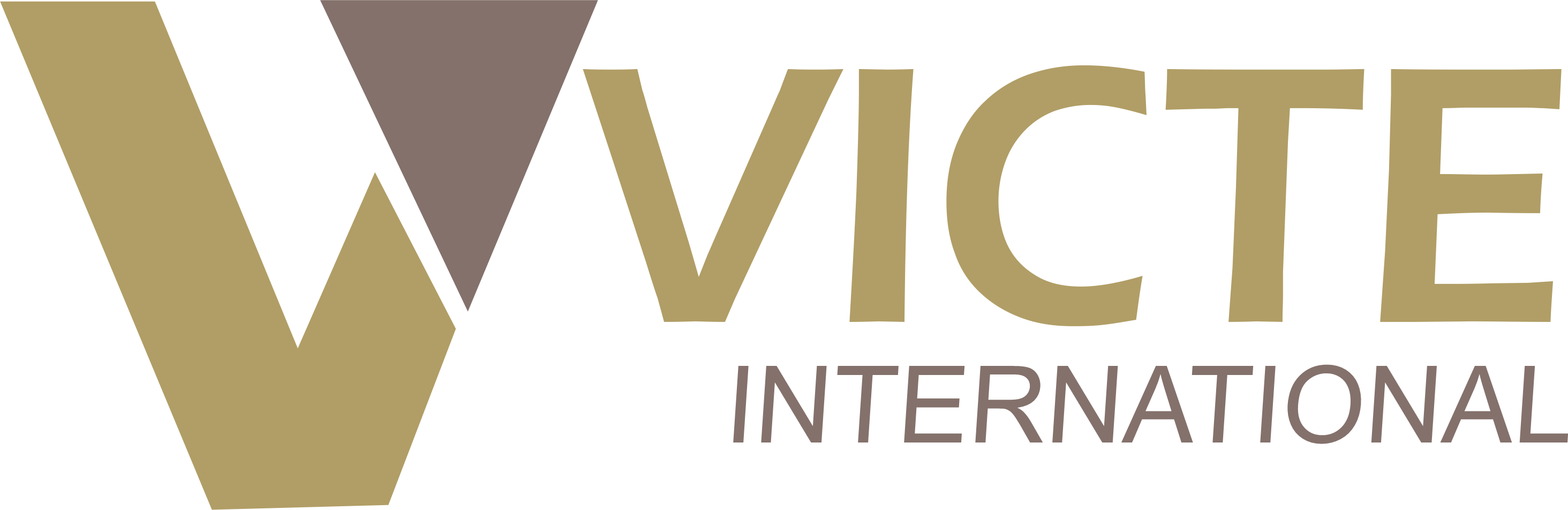VICTE INTERNATIONL